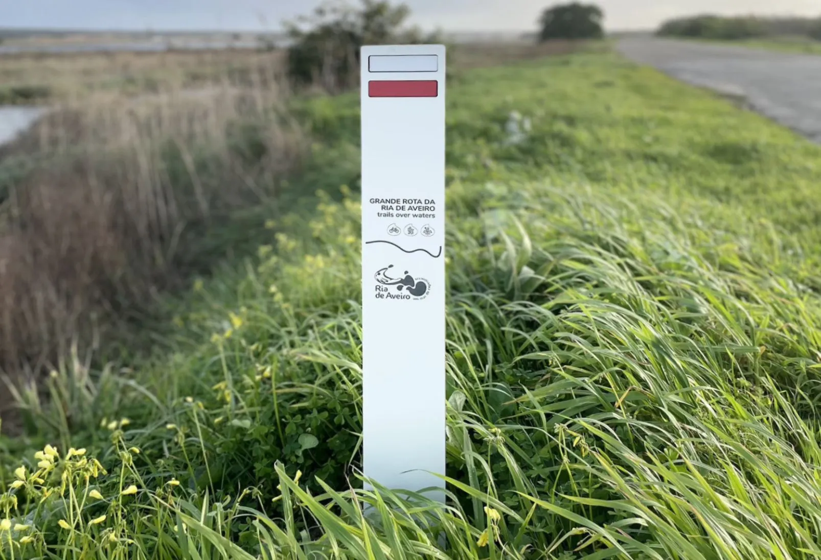 Baliza para percursos pedestres modelo Floema em HPL+, com marcas de percurso e logotipo gravado, em zona verde.