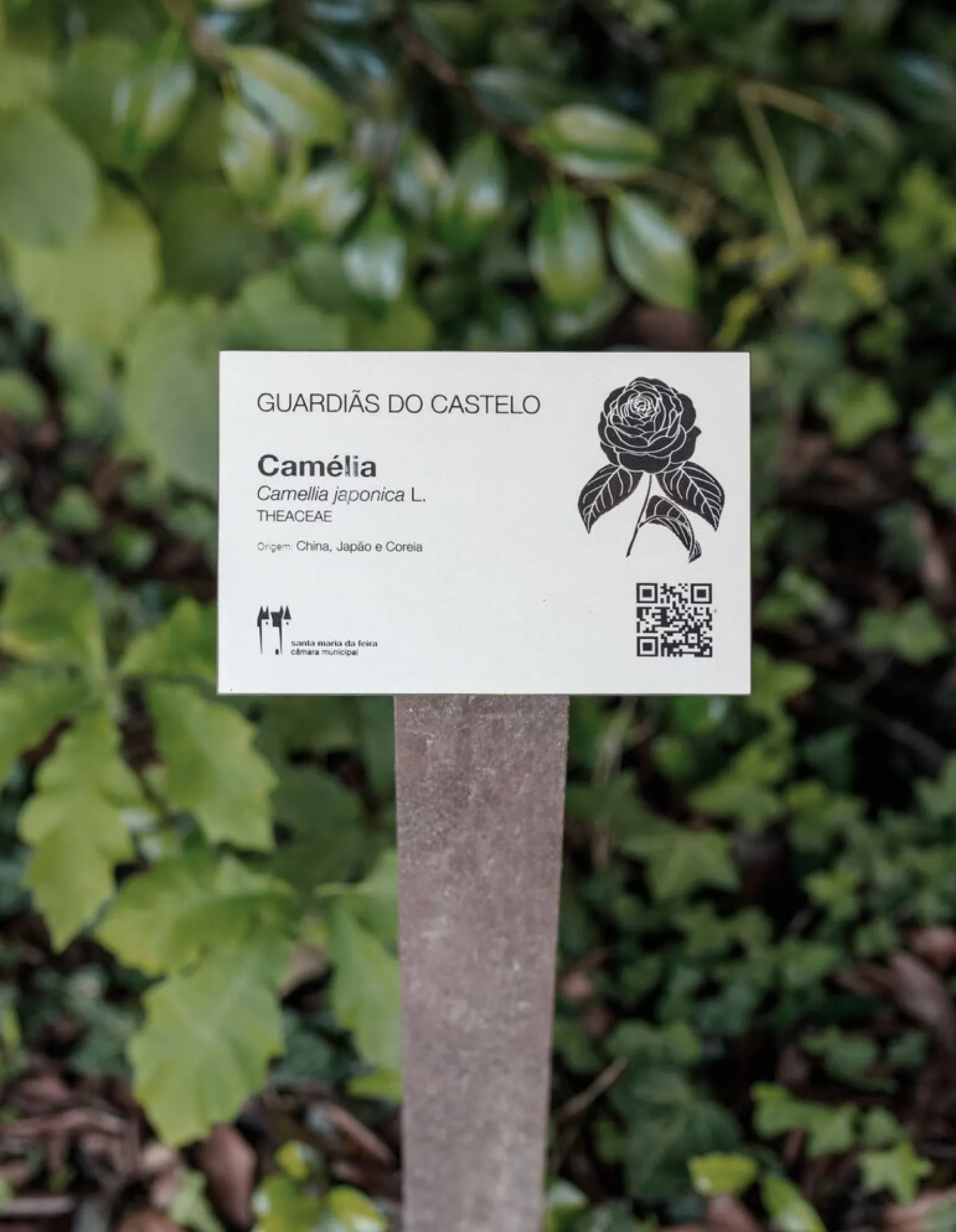 Detalhe de placa em HPL+ de placa de espécie em parque natural urbano, com estrutura em plástico reciclado castanho, modelo Floema.