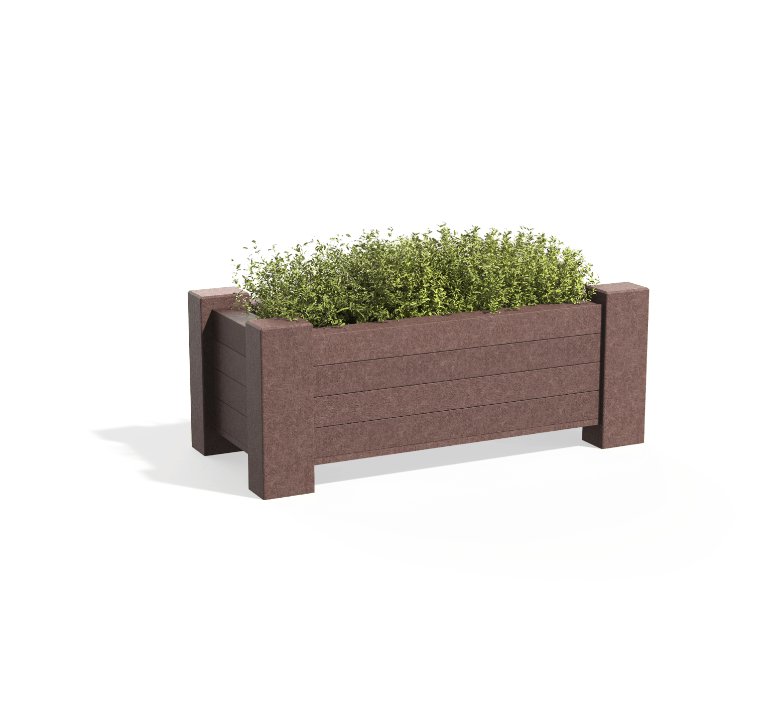 Floreira Oxalis