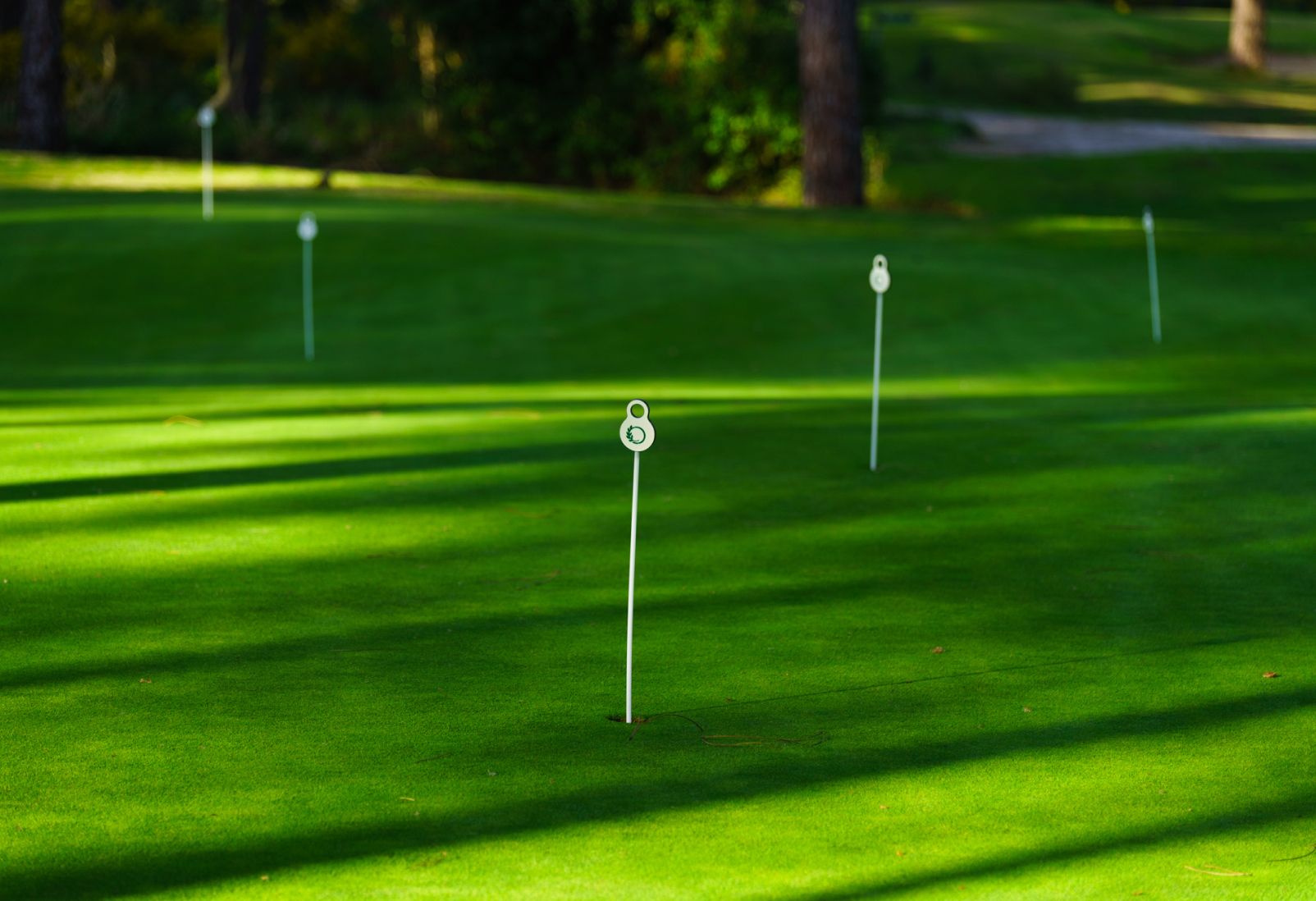 Vista general de una zona de putting green en un campo de golf, con señalización en cada hoyo para practicar el juego de precisión.