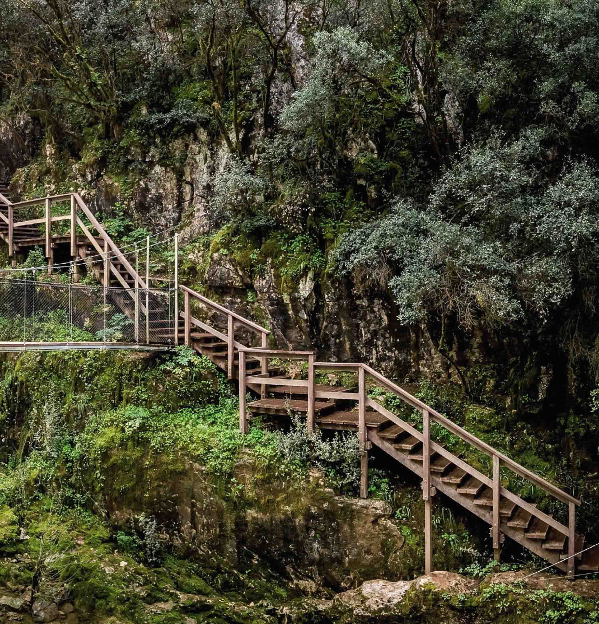 Escaleras de plástico reciclado