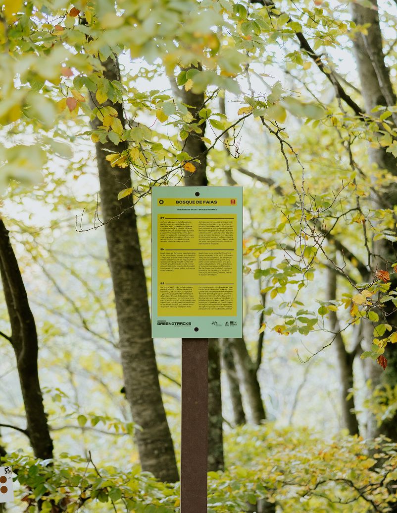 Placa informativa para rutas peatonales en HPL Print, con poste de plástico reciclado marrón, instalada en parque natural.