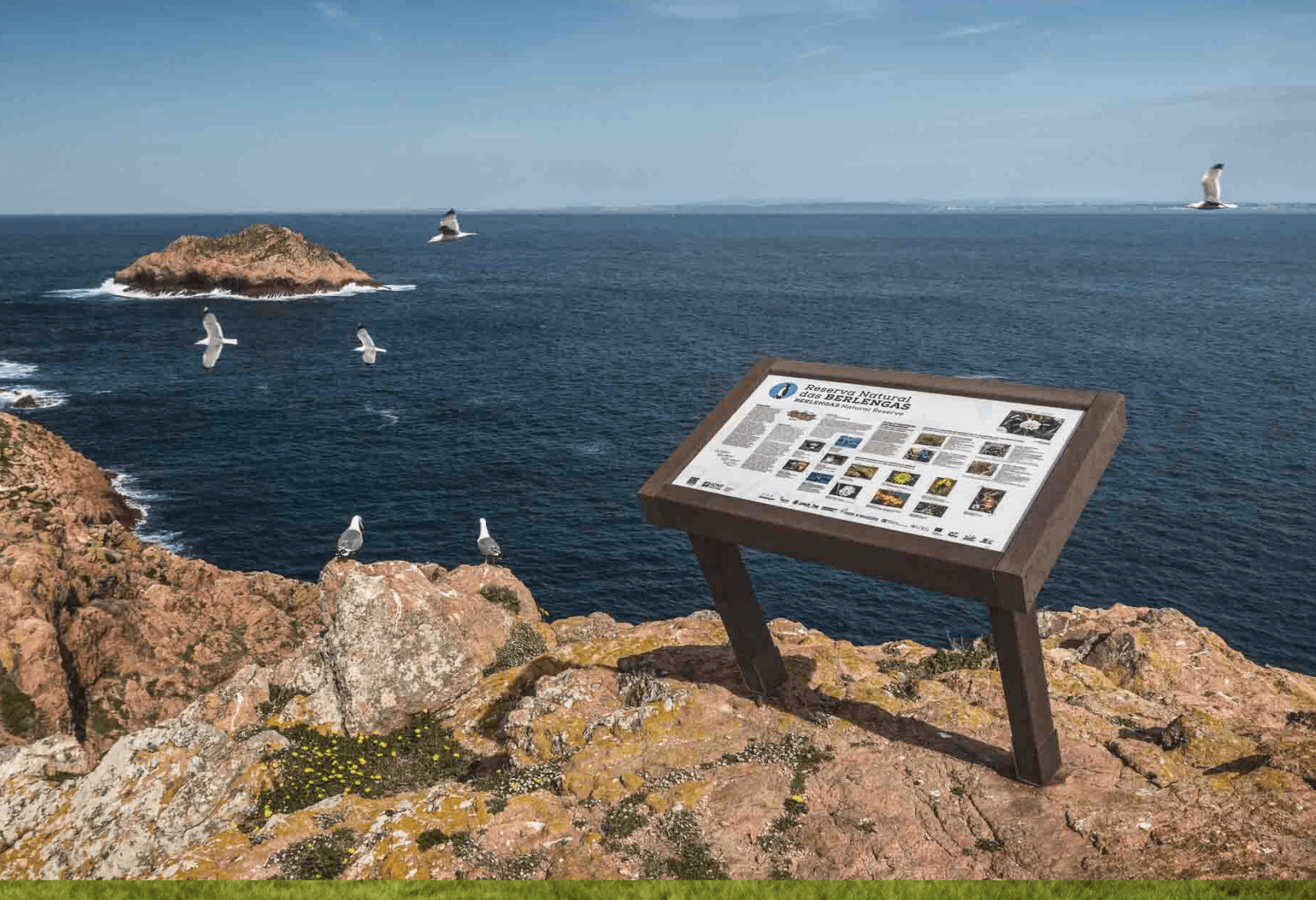 Petite table d’interprétation ICNF, avec structure en plastique recyclé et panneau en HPL Print, intégrée dans la zone protégée des Berlengas.