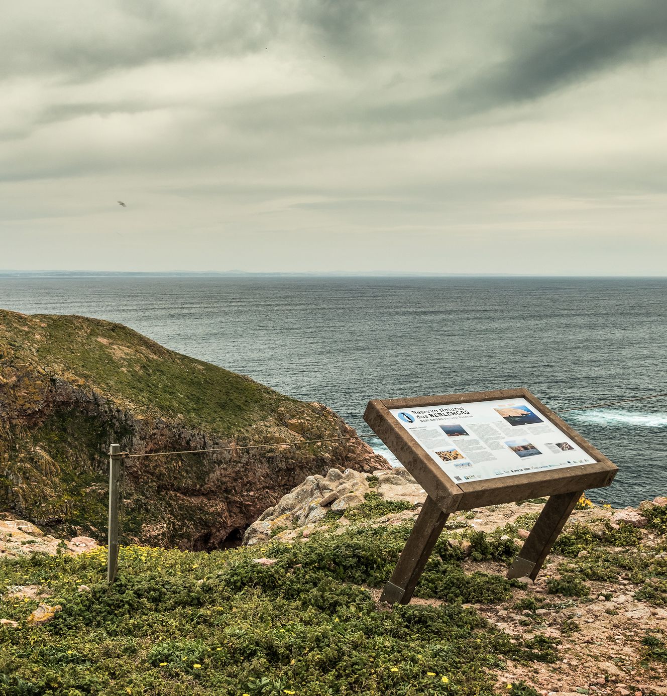 Berlengas Island, Portugal